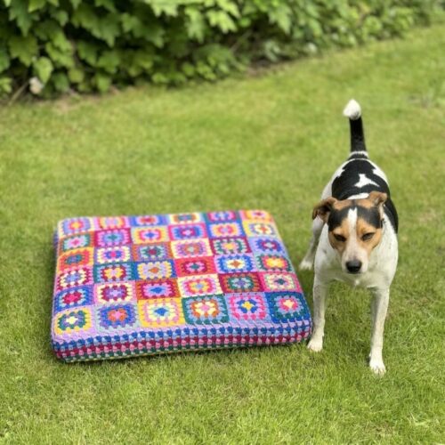 dog next to a crocheted bed